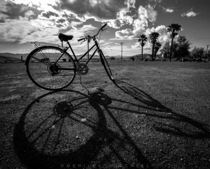 Bicycle. Copyright Merilee Mitchell